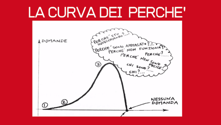 LA CURVA DEI PERCHE'